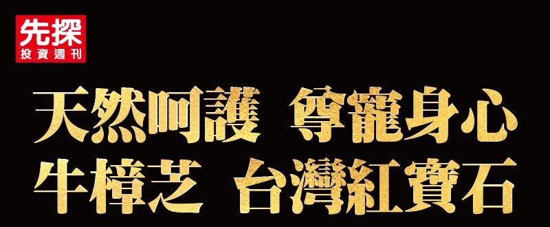 KV手機版